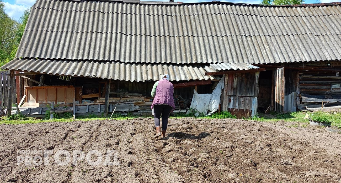 Дачную амнистию продлят до 2031 года