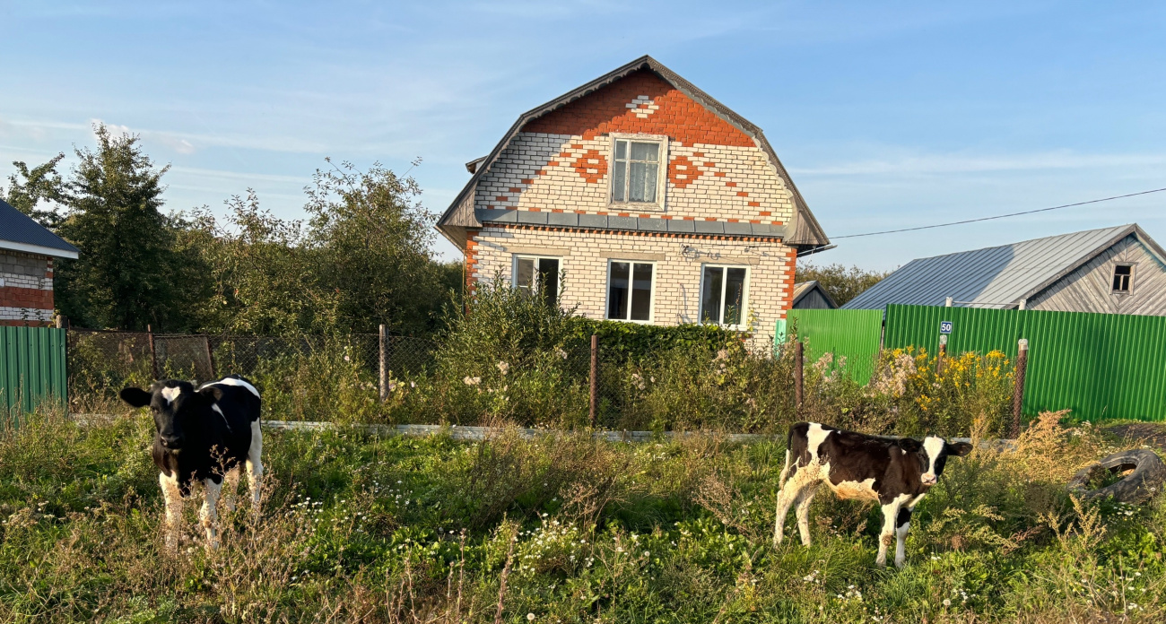 Каждому по дому: как россиянам будут теперь выдавать недвижимость
