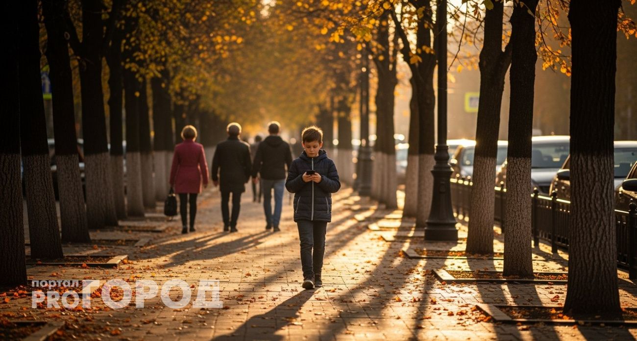 Мальчик из Йошкар-Олы ради телефона и наушников оформил кредит на мать и перевел деньги неизвестно кому