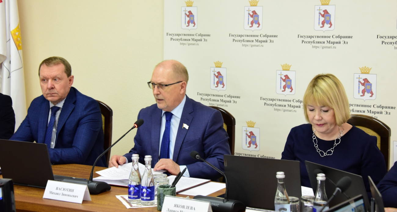 Как будут выбирать глав районов в Марий Эл: в закон внесли 5 уточнений