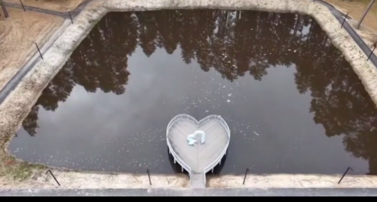 Новое место для любителей здоровья открывают в Звенигово