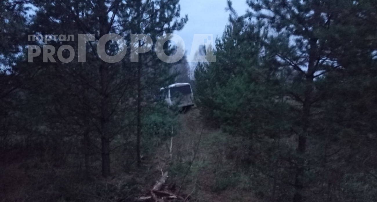 Автобус вылетел с дороги в Куженерском районе: пострадали трое