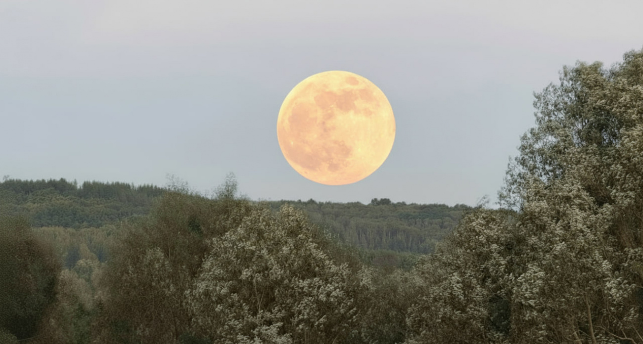 Бобровая Луна: 5 ноября жители Марий Эл увидят редкое астрономическое явление
