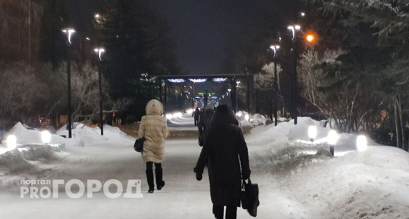 Дикий мороз скует Центральную России: зима 2025-2026 станет суровым испытанием