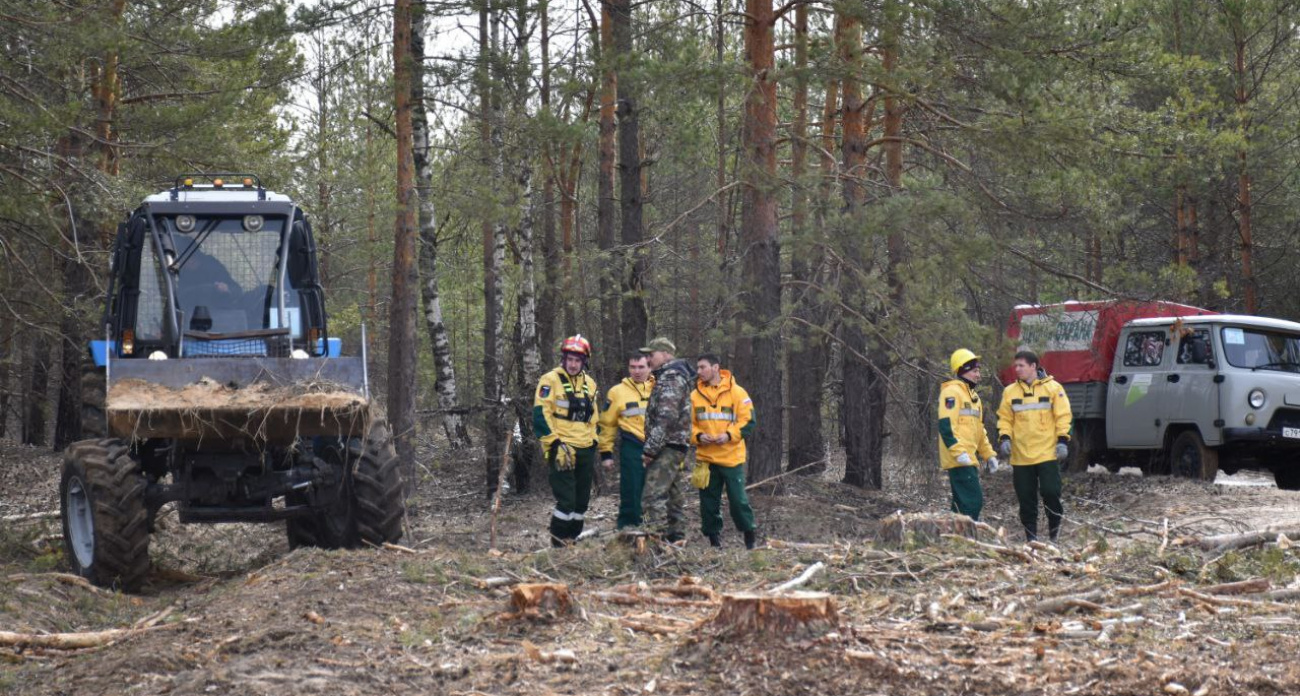  В Марий Эл в два раза сократилось количество лесных пожаров