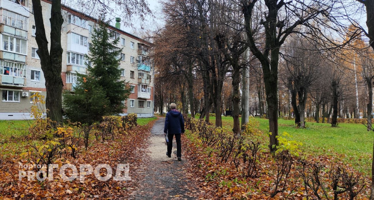 Спрятанная от жены пачка денег спасла марийского должника в самый ответственный момент