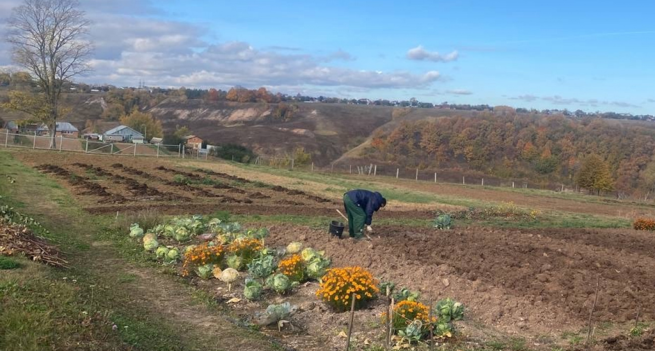 Как подготовить огород к зиме: семь ключевых шагов