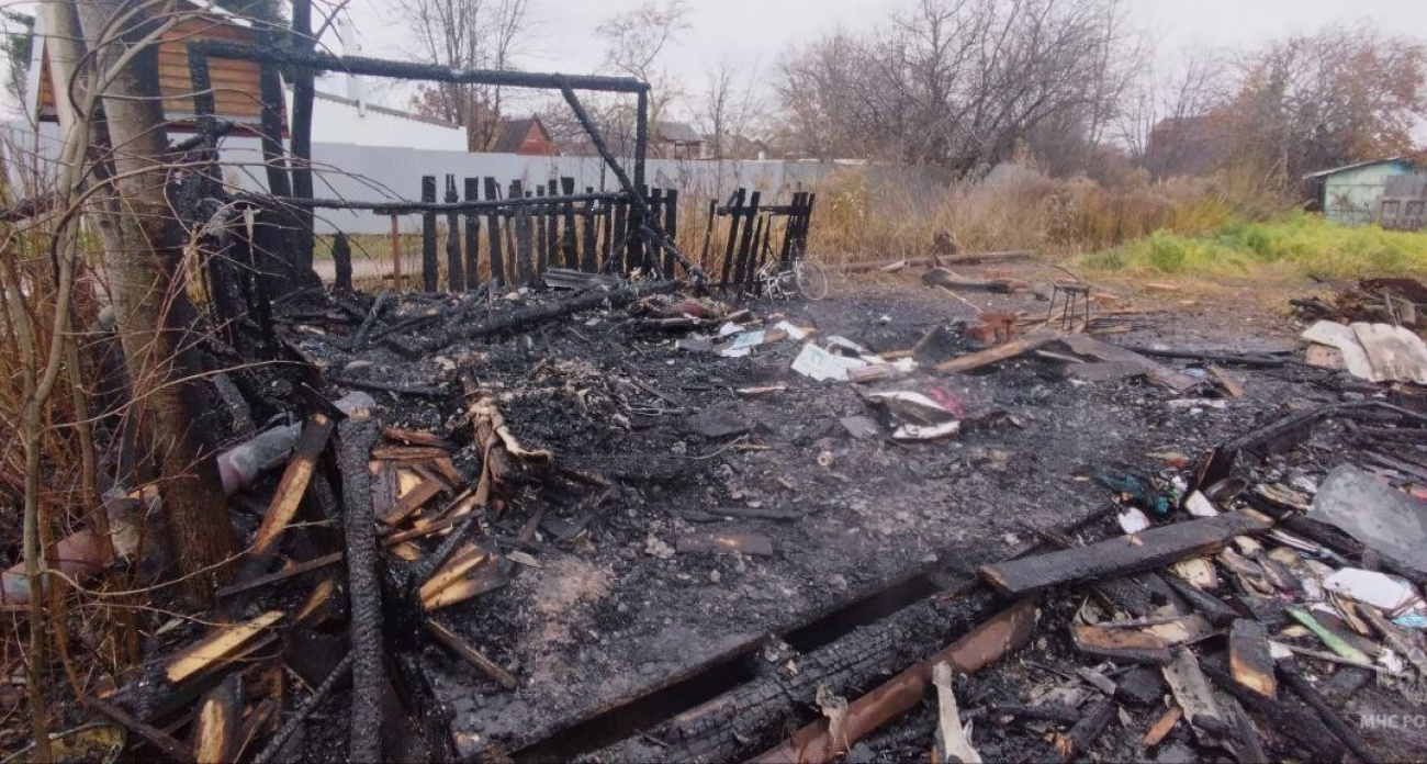 Жительница Медведевского района растопила печь и испепелила дом
