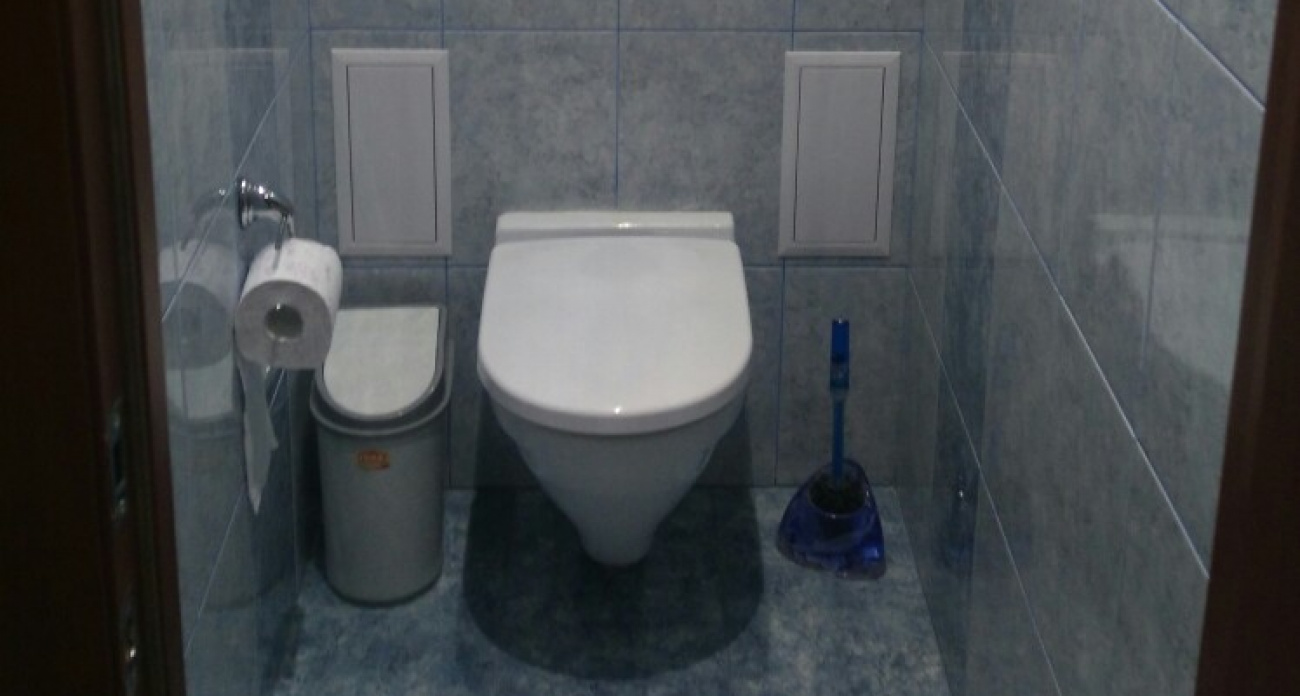 После такого случая спускаю крышку унитаза и всем советую: может случиться с каждым