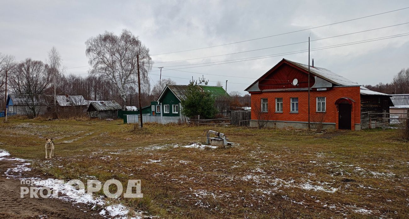 Старинная примета предвещает беду: сухой бесснежный ноябрь не сулит ничего хорошего