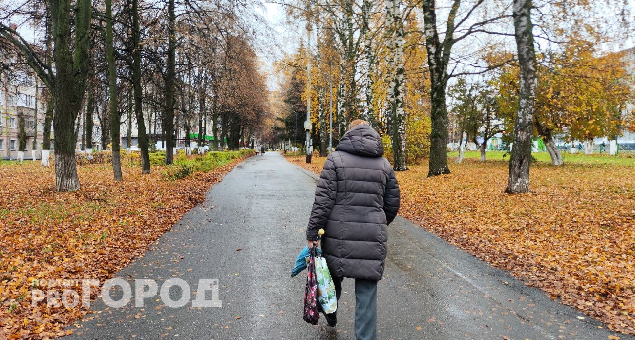 Йошкаролинка взяла два кредита на миллион рублей, чтобы вывести 69 тысяч долларов