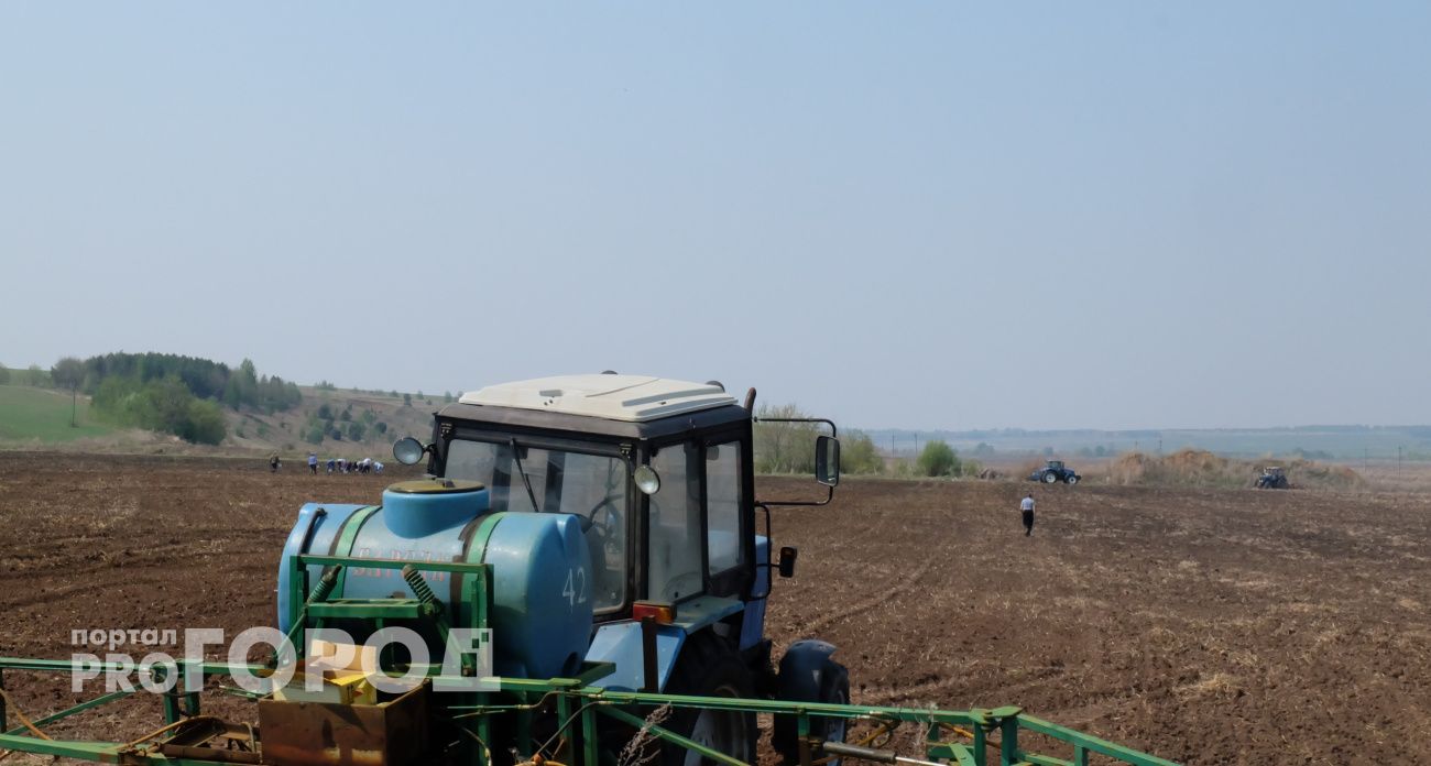 Марий Эл превращается в зерновую республику: урожай вырос на 87 тысяч тонн