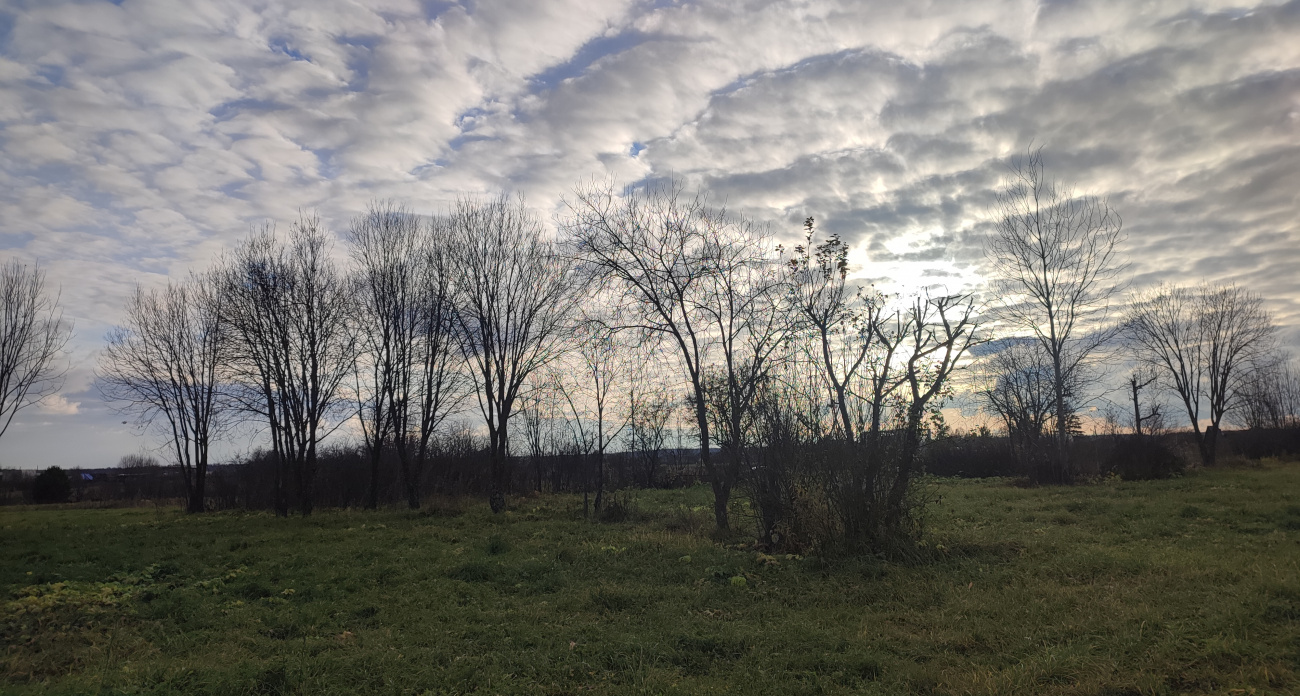 На следующей неделе в Марий Эл похолодает до -4 градусов мороза