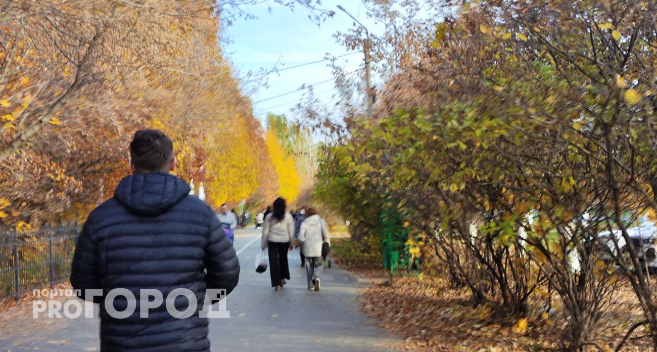 Стало известно, сколько можно заработать в Марий Эл на обычной работе