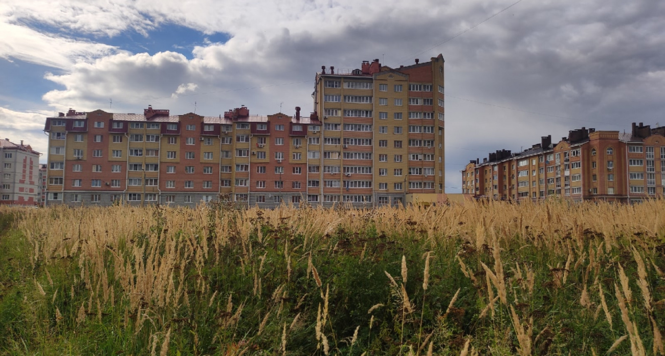 700 тысяч заплатил мужчина, чтобы продать престижную квартиру в Сернурском районе