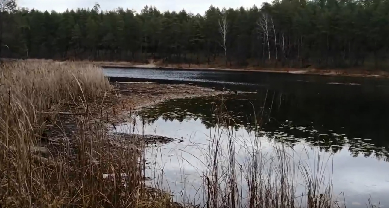 Жители Марий Эл бьют тревогу из-за обмеления озера Яльчик: Сначала Морской глаз, теперь это
