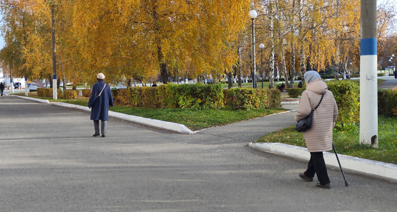 В Марий Эл женщина бросила детей на бабушку и перестала платить алименты