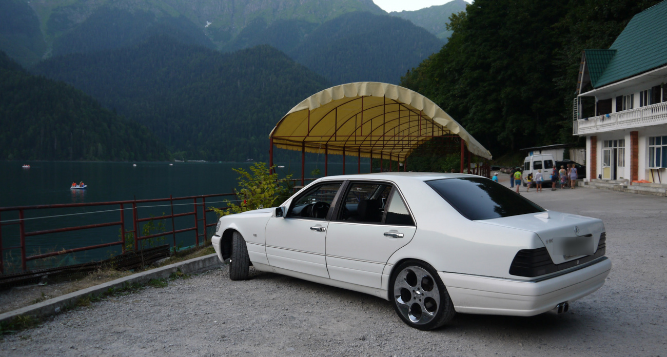 Поехал в Абхазию за дешевым кабаном: были ли подводные камни и за сколько привез