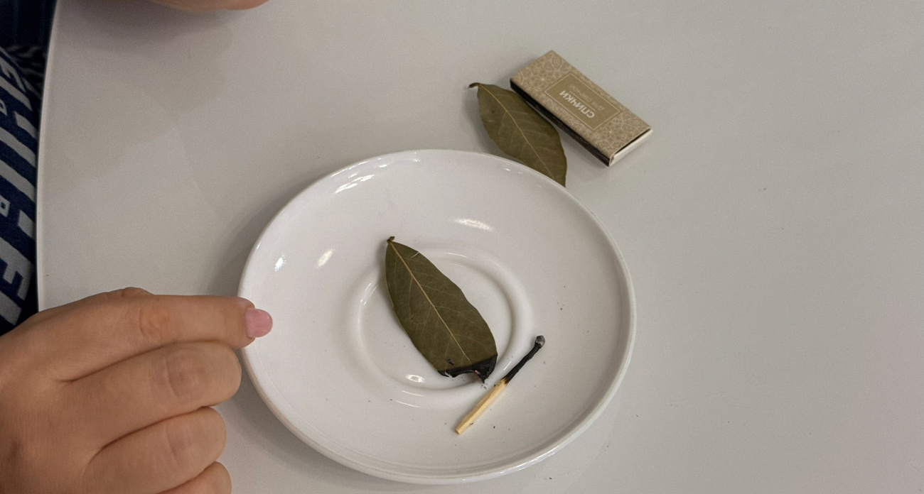 Держите лавровый лист в спальне и живите спокойно: вот на что это влияет - эффект заметите сразу