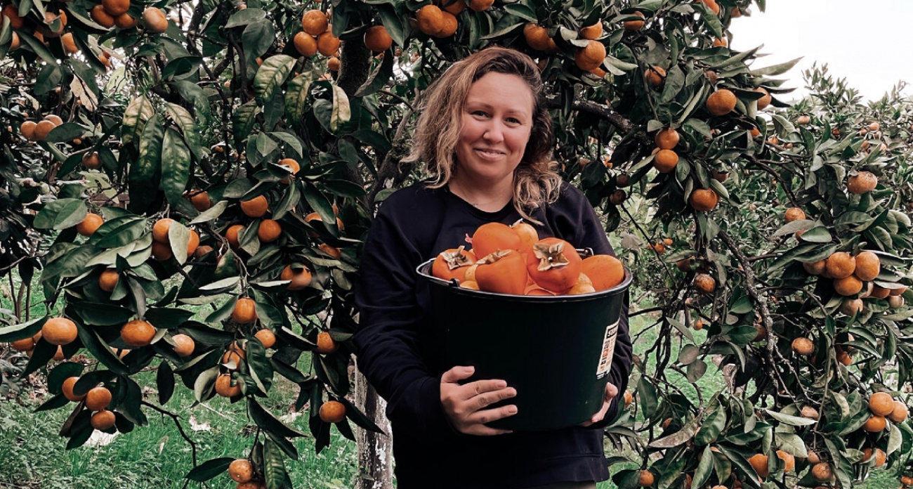 Съездила в Абхазию на сбор мандаринов и хурмы: сколько смогла заработать и есть ли подводные камни