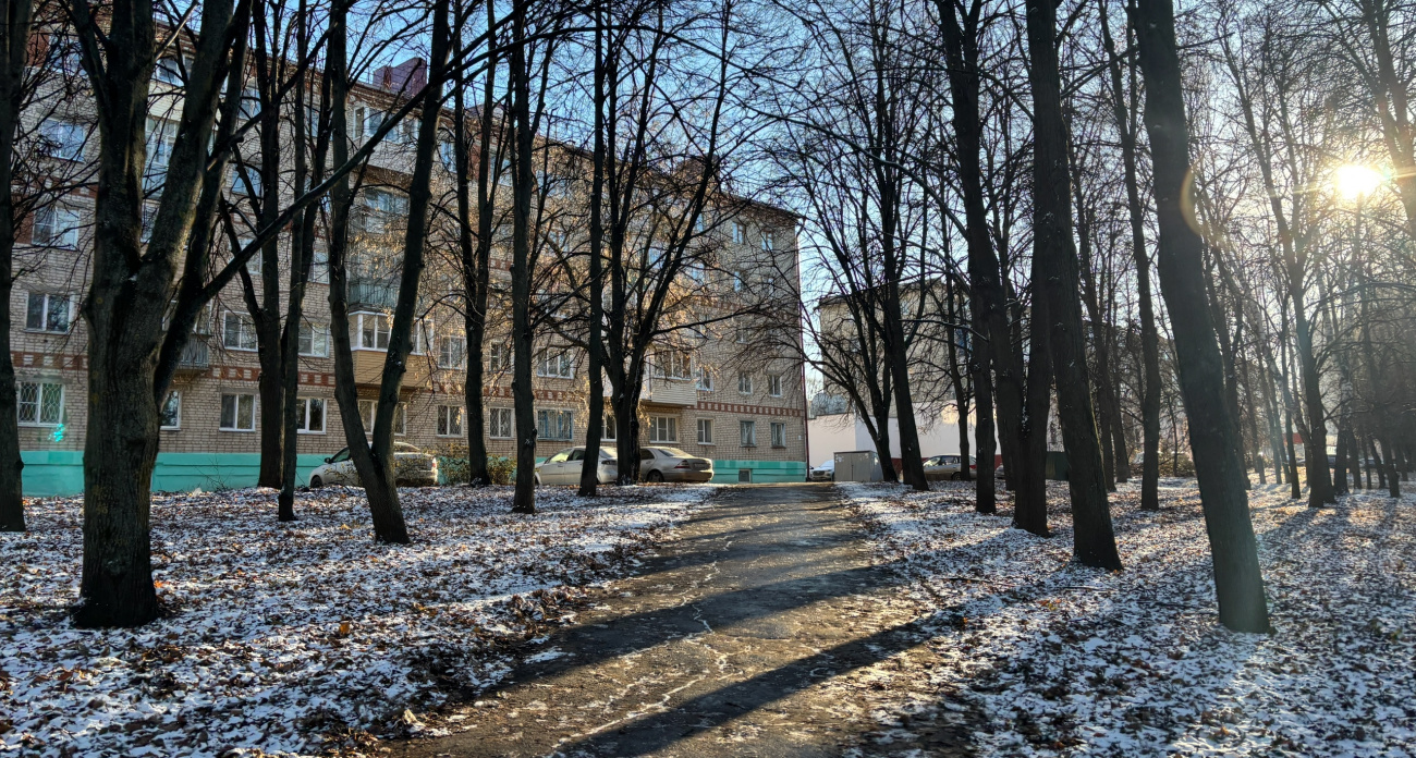 Волжская УК заплатит мужчине за упавшее на его машину дерево