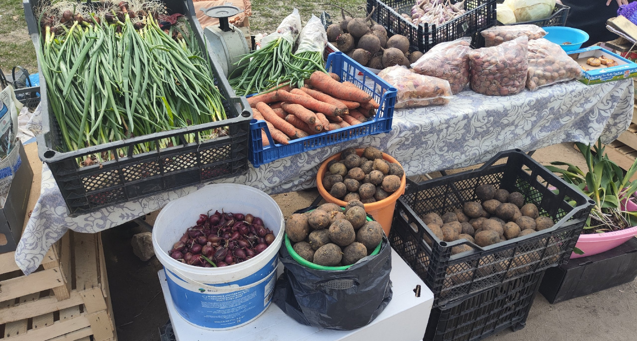 Овощ, который убивает почки: в Европе его больше не едят, а в России по-прежнему очень любят