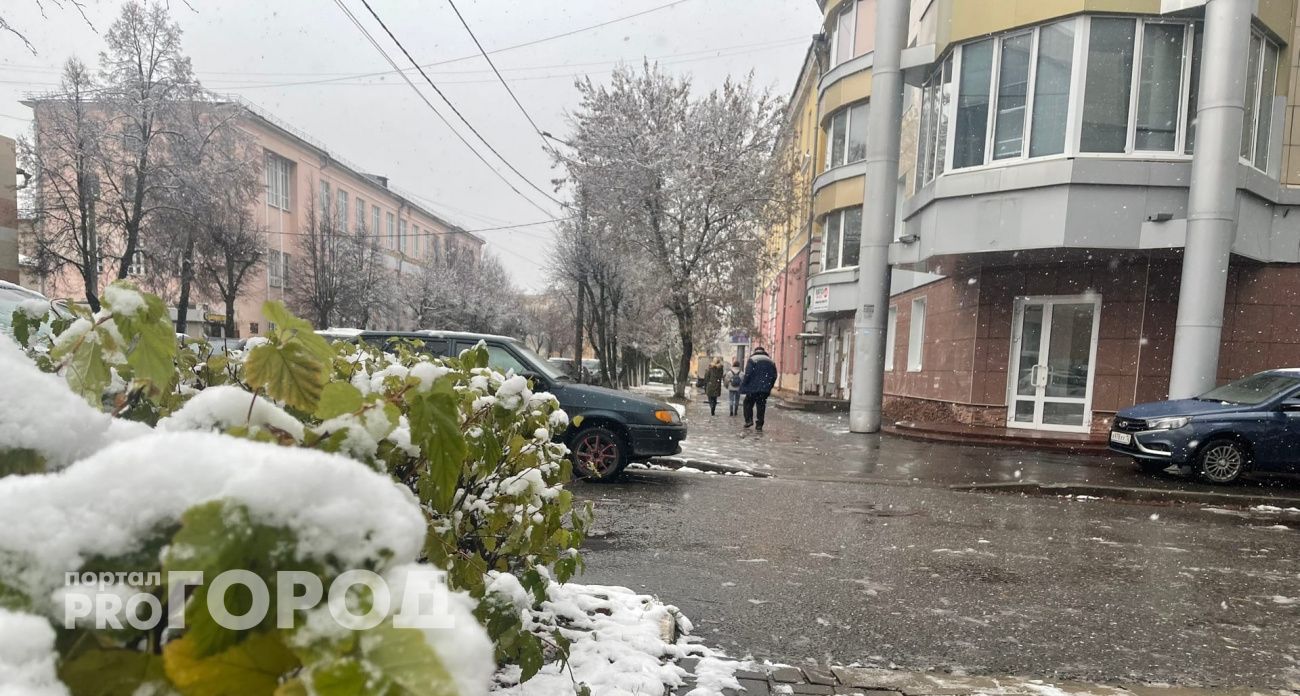 Мокрый снег с туманом накроют Марий Эл