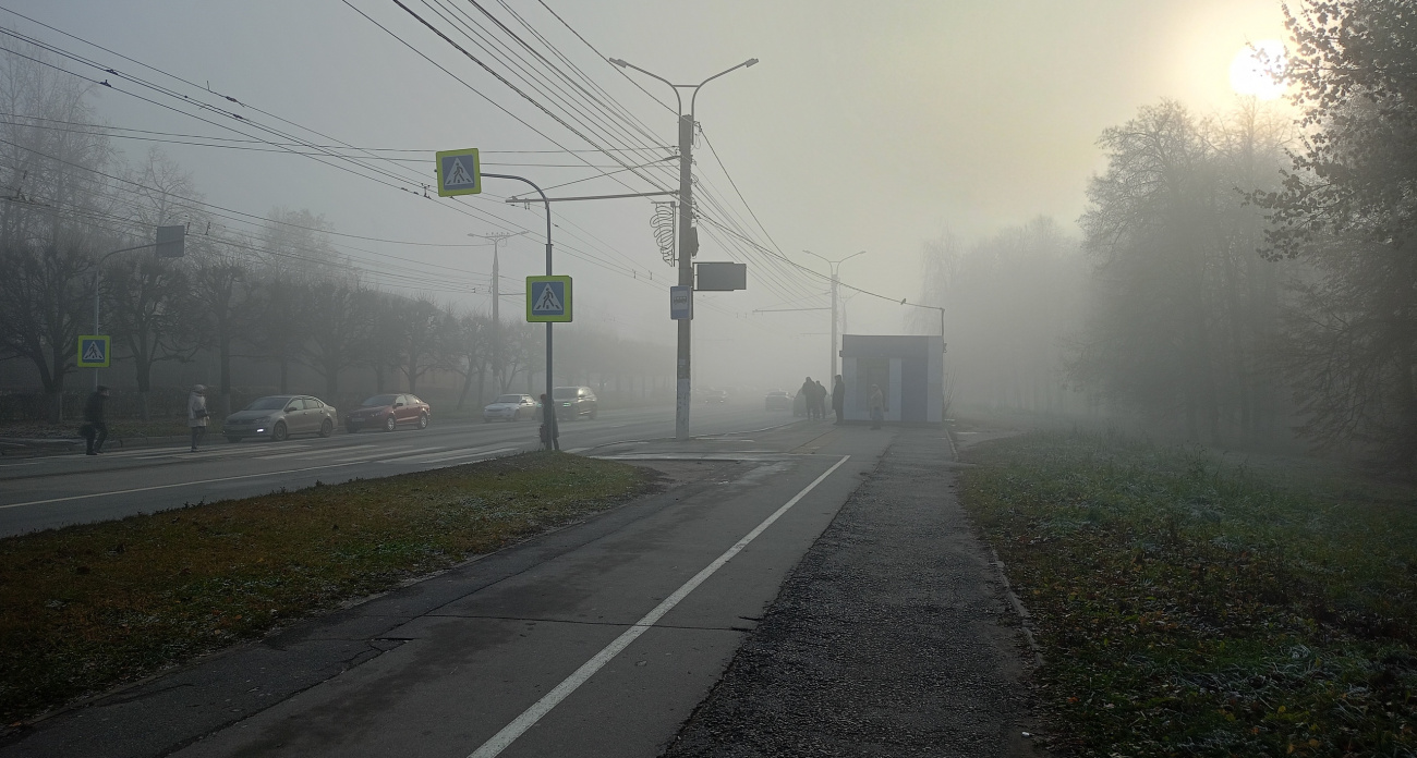 Снега не будет вовсе: Вильфанд расстроил прогнозом жителей Центральной России