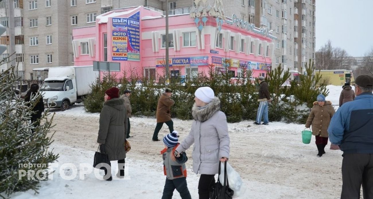 Два официальных елочных базара будут работать в Йошкар-Оле