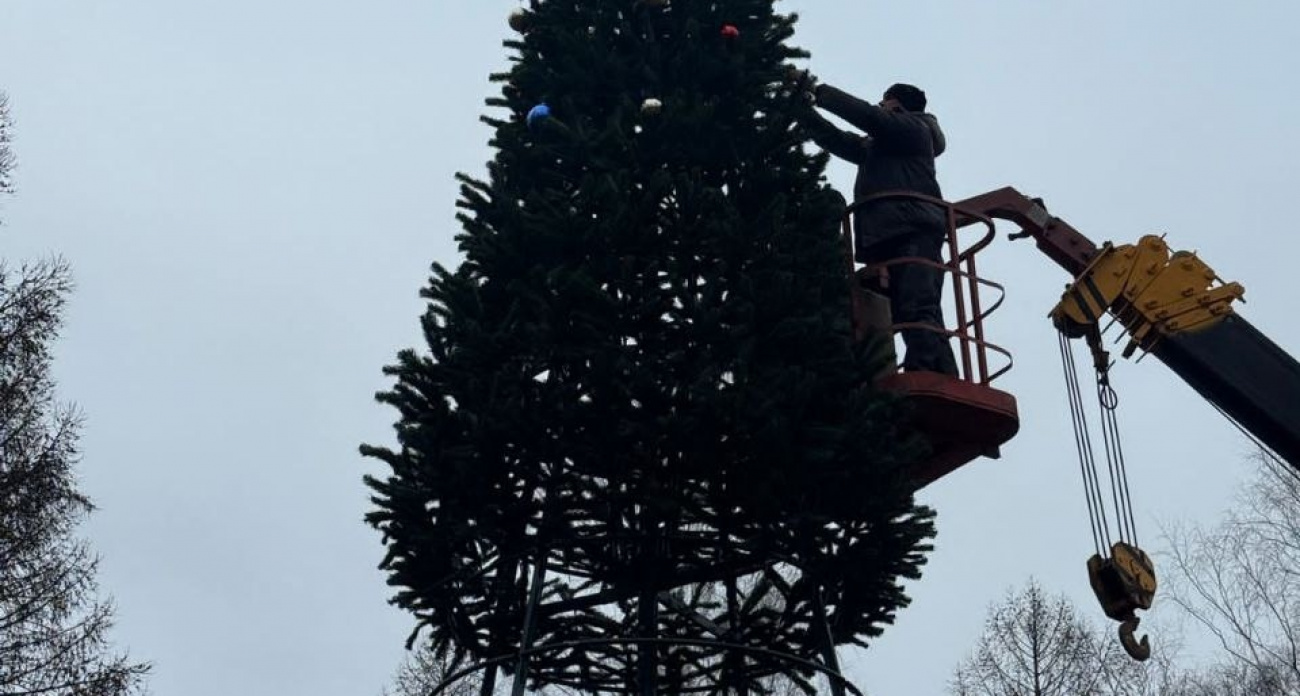 10-метровую елку нарядили в Семеновке