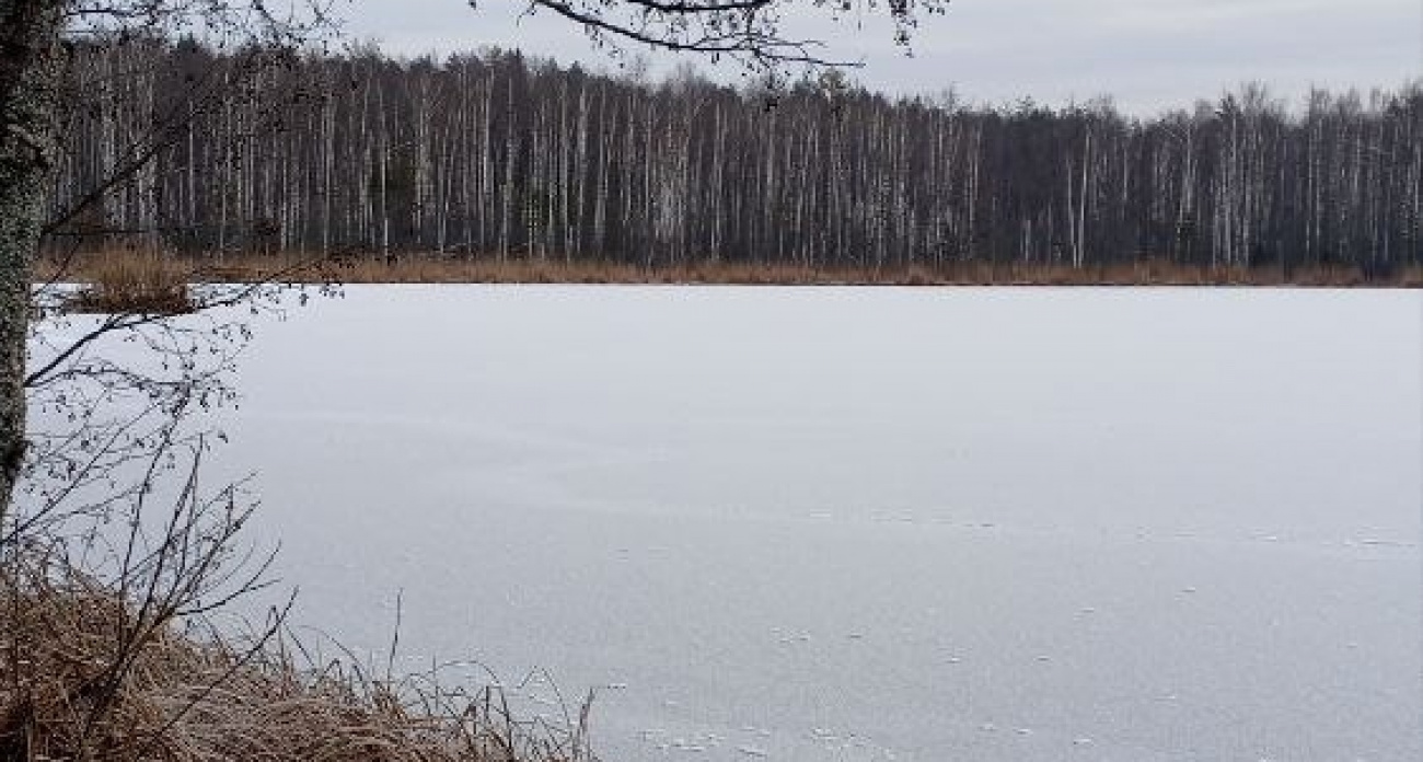 Марийские озера покрылись льдом в несколько сантиметров