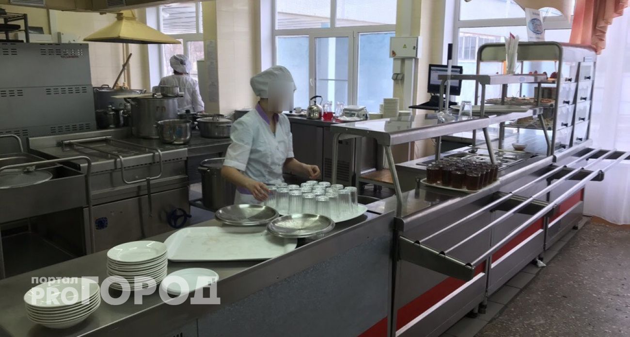 Дряблые стены, антисанитария и тухлые продукты: по школам Марий Эл прошлась проверка