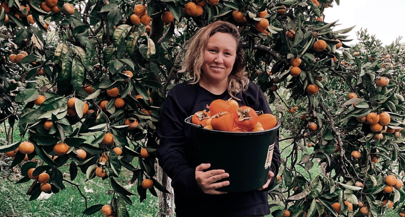 Съездила в Абхазию на сбор хурмы и мандаринов: сколько удалось заработать