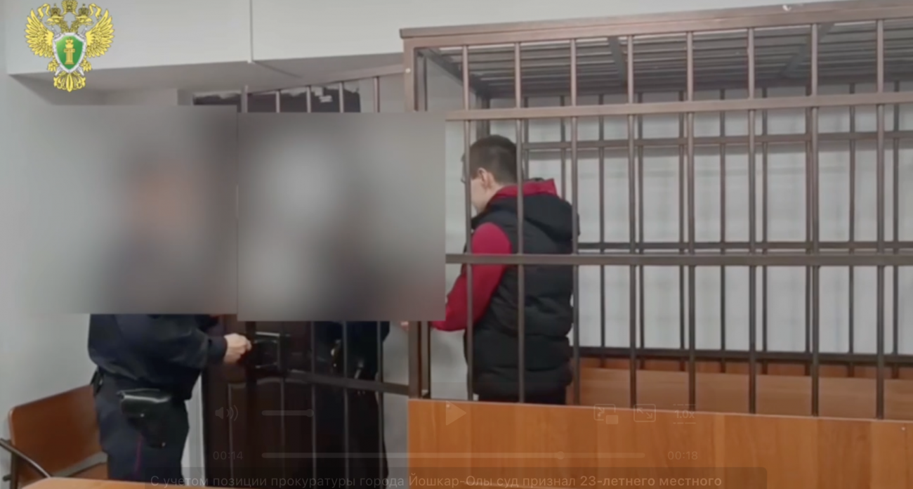 Оптовику-закладчику из Йошкар-Олы дали 11 лет "строгача"