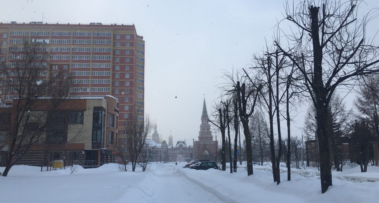 В Марий Эл ожидаются сильные порывы ветра в течение двух дней