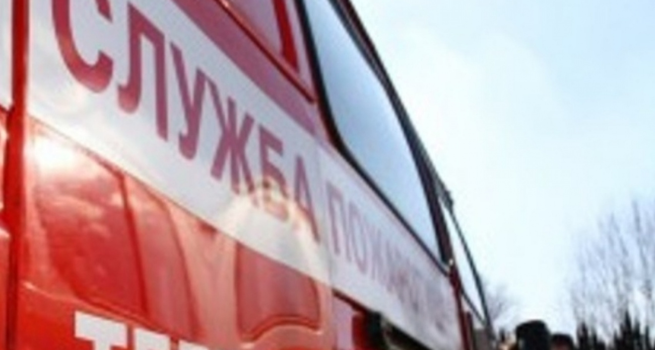 В ночном пожаре в Оршанском районе сгорел жилой дом