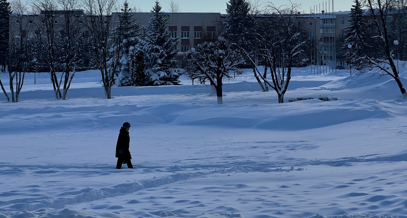 Лучше остаться дома: Вильфанд предупредил волгарей о волне страшных морозов