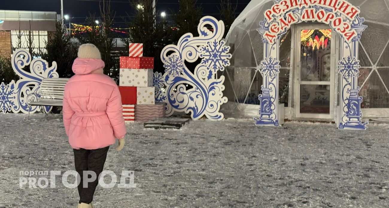 В Центральном парке Йошкар-Олы откроется домик Деда Мороза