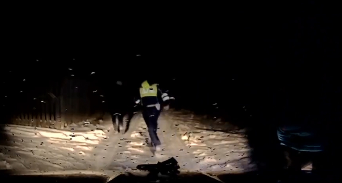 Пара из Йошкар-Олы приехала в лес с незаконным делом, но их планы сорвала полиция