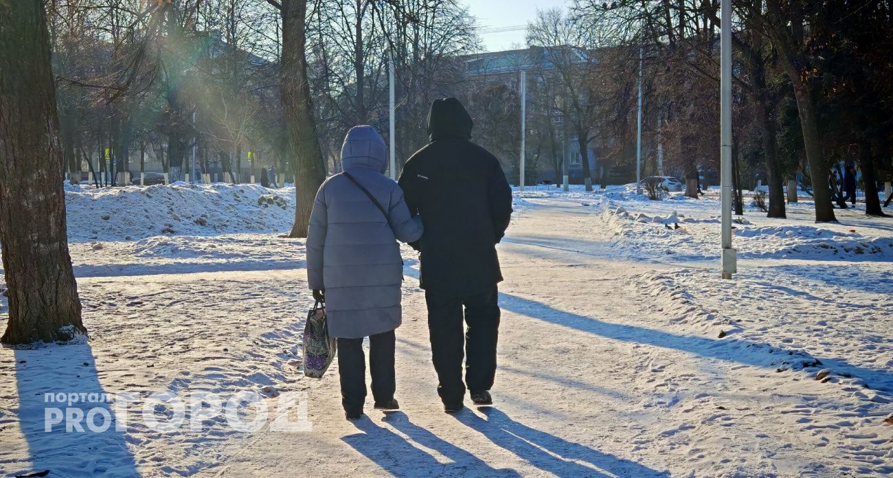 Необычный парк откроют для жителей Звенигово