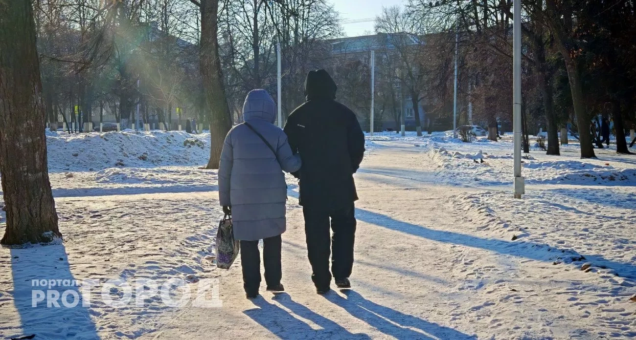 Необычный парк в Звенигово и повышение НДС: главные новости за 27 декабря в Йошкар-Оле