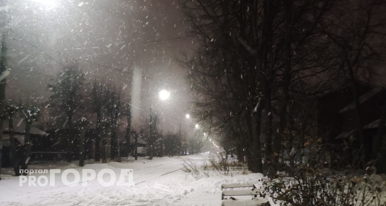 В деревне Мари-Турекского района почти все фонари стояли мертвым грузом
