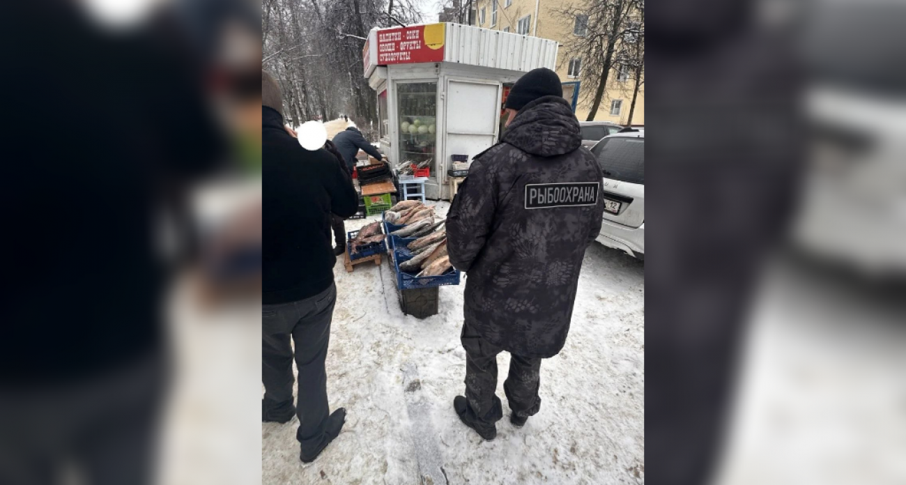 На улицах Марий Эл нашли 100 кг неизвестной рыбы