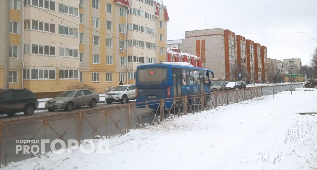Пешеходы из Мари-Турека добились запуска автобуса до Йошкар-Олы