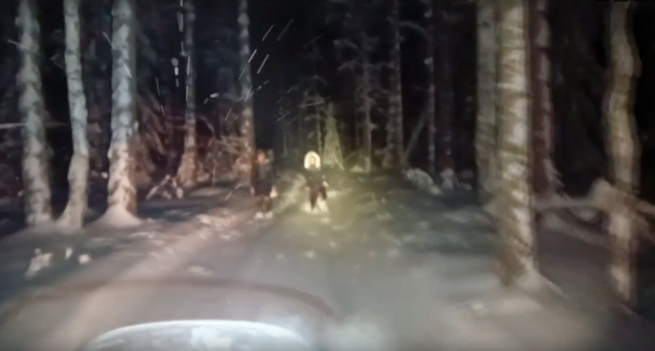 Мужчина с девушкой потерялись в зимнем лесу Медведевского района: видео