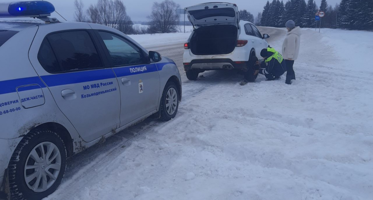 Марийские инспекторы спасли на трассе попавшую в беду девушку