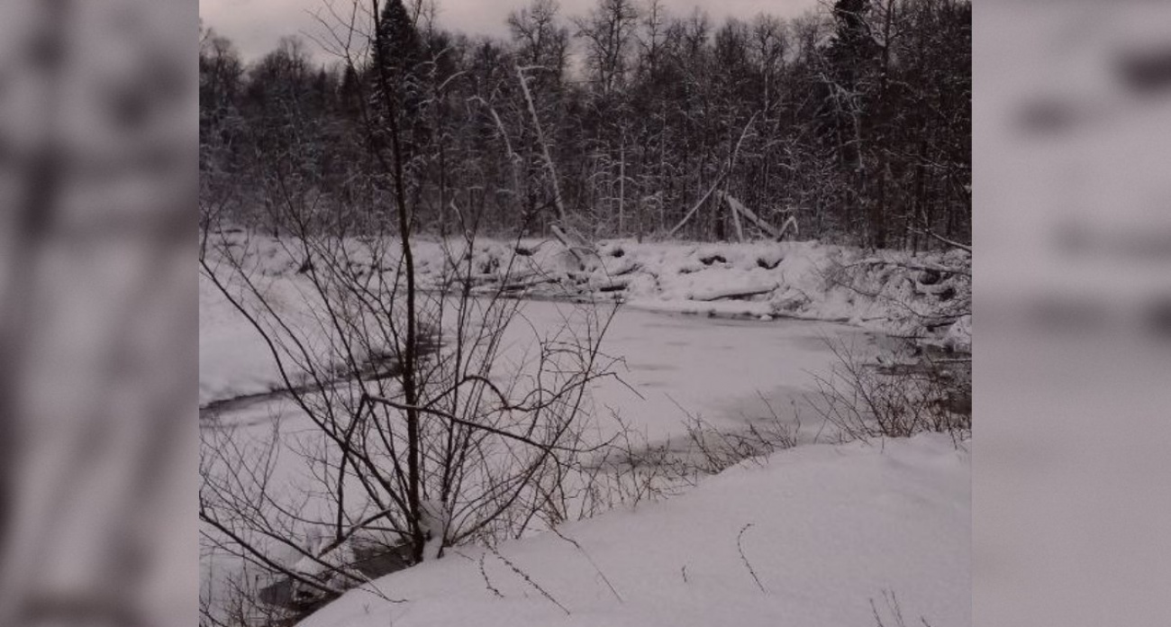 Экологов встревожило состояние одной из главных марийских рек