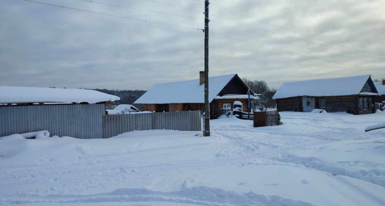 Пять заброшенных марийских деревень, где жизнь затухает с каждым годом: “Нет целых домов, все заросло деревьями”