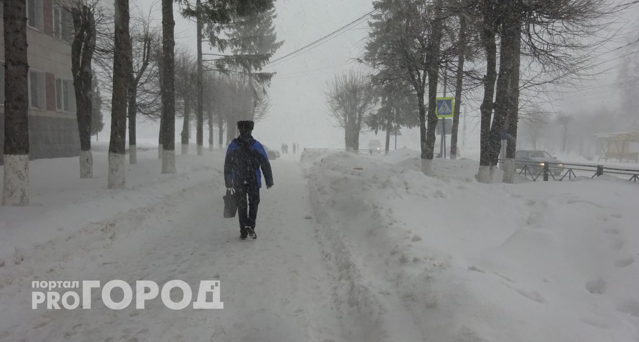 Снежный буран вот-вот накроет Марий Эл