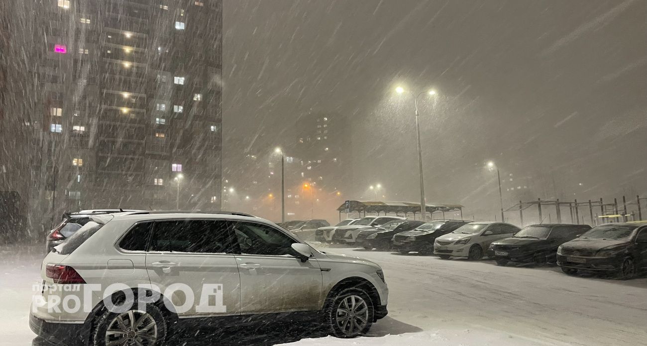 Январские снегопады принесут в Центральную Россию дождливое лето: народные приметы не врут